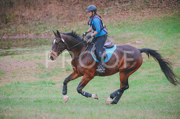 JJS_2141