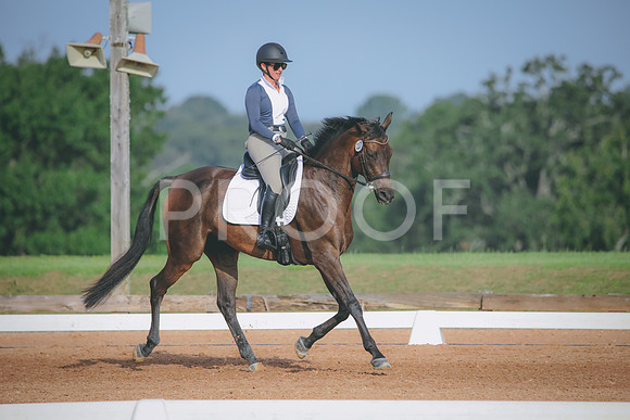 RWP_4401