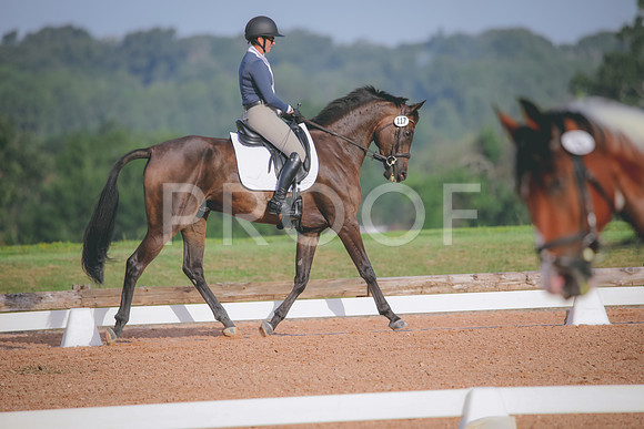 RWP_4395