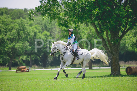 RWP_3354