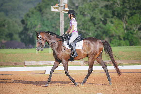 RWP_4338