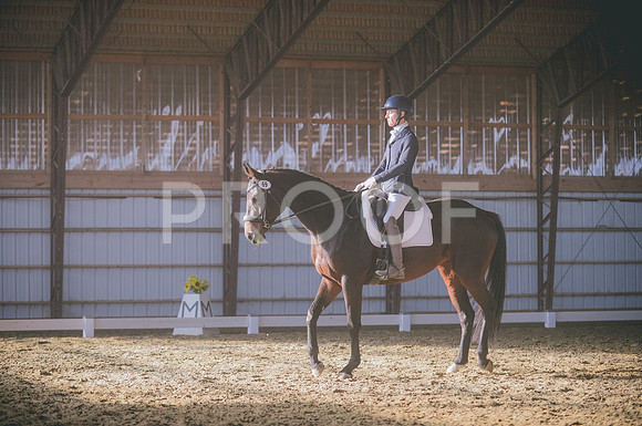 JJS_2638