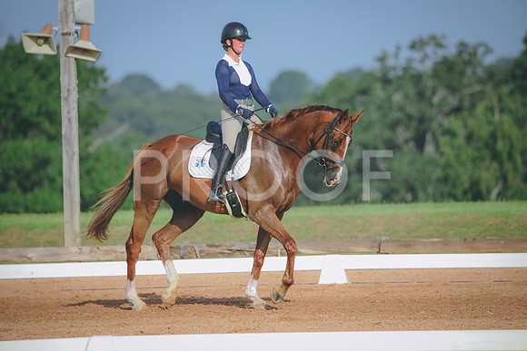 RWP_4441