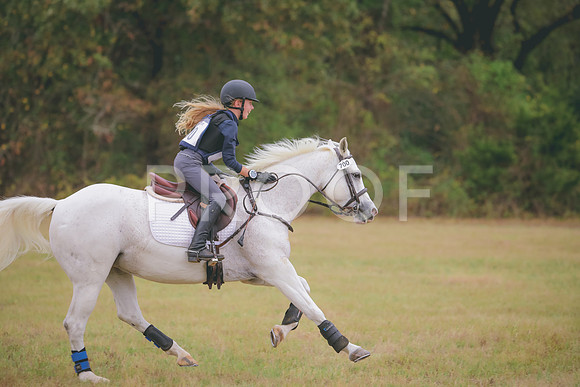 RWP_3731