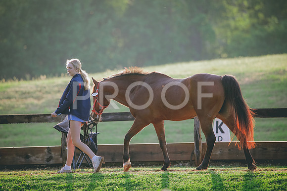 RWP_3621