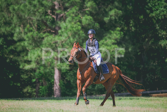 RWP_1261
