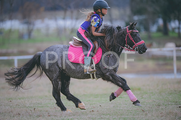 JJS_1658