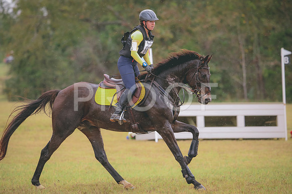 RWP_3382