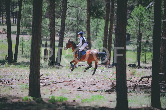 JJS_1722