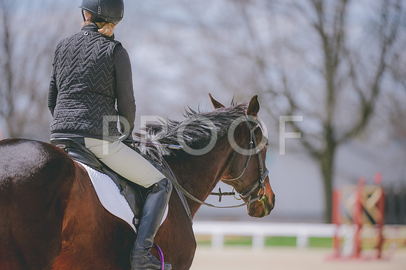 JJS_4817